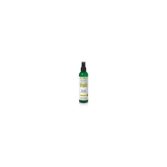 Andalou Naturals - From: 225579 To: 225581 - Hair Care Healthy Shine Sunflower & Citrus Perfect Hold Hair Spray  Styling Aids & Treatments