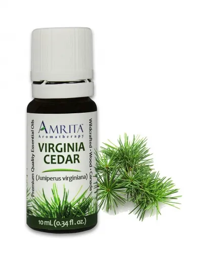 Amrita Aromatherapy - EO3282-1L - Essential Oils - Cedar, Virginia - 1L