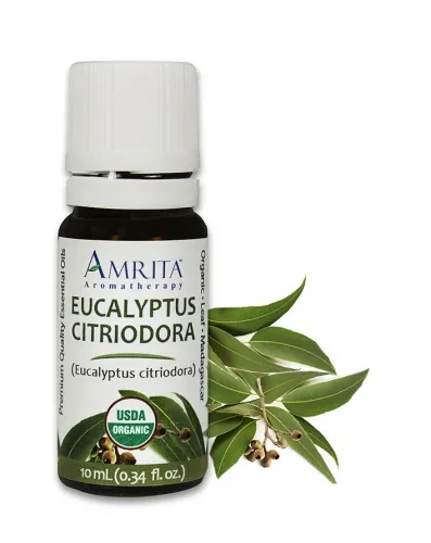 Amrita Aromatherapy - EO3401-10ml - Essential Oils - Eucalyptus Citriodora