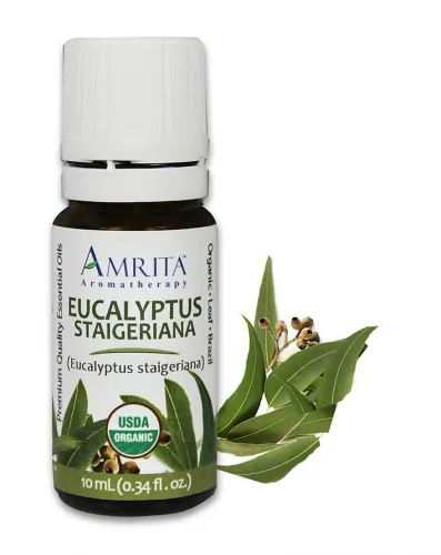 Amrita Aromatherapy - EO3441-10ml - Essential Oils - Eucalyptus Staigeriana