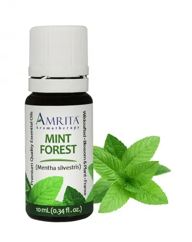 Amrita Aromatherapy - EO3882 - Essential Oils - Mint Forest