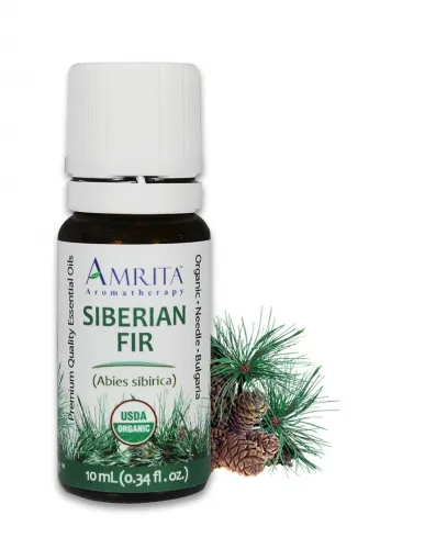 Amrita Aromatherapy - EO4531 - 10ml Essential Oils Fir Siberian 10ml