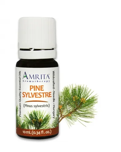 Amrita Aromatherapy - EO4562 - 10ml Essential Oils Pine Sylvestre 10ml