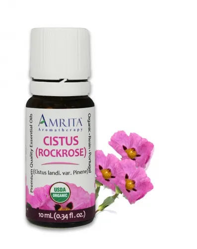 Amrita Aromatherapy - EO4702 - 10ml Essential Oils Cistus (Rockrose) 10ml