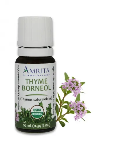 Amrita Aromatherapy - EO4961 - 10ml Essential Oils Thyme Borneol 10ml