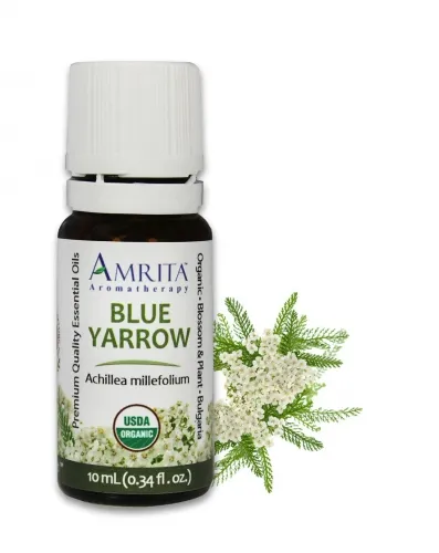 Amrita Aromatherapy - EO5181-10ml - Essential Oils - Yarrow