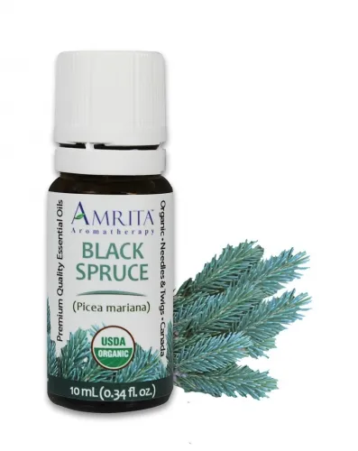 Amrita Aromatherapy - EO5211-10ml - Essential Oils - Spruce
